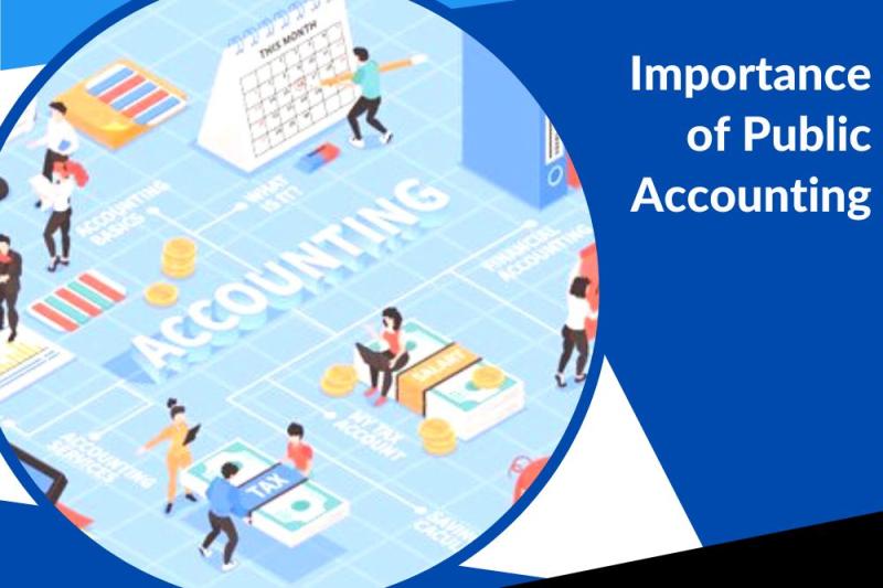 Importance of Public Accounting