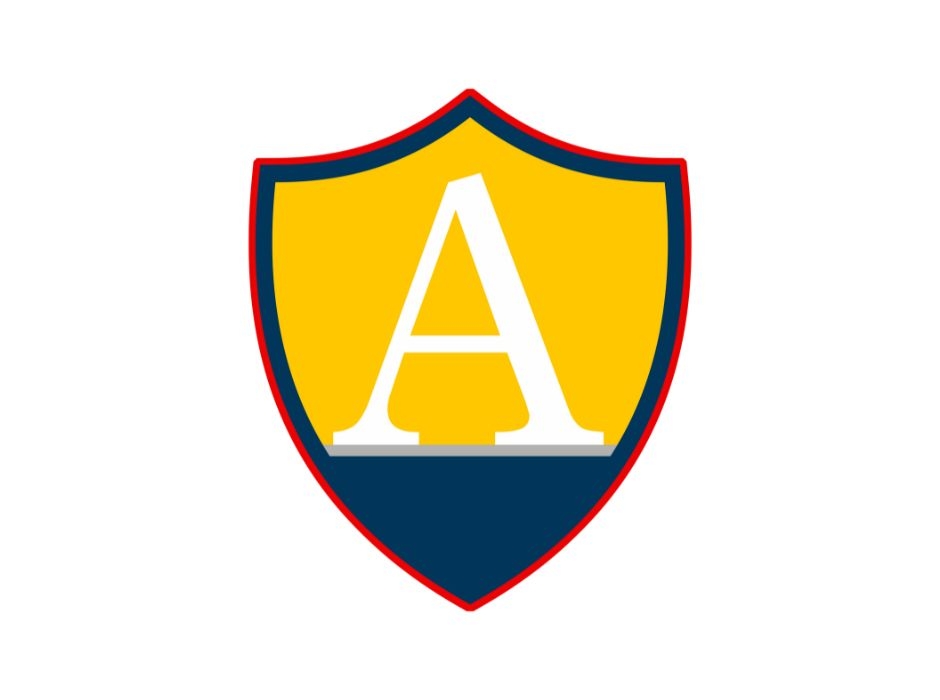 Amity Global Institute