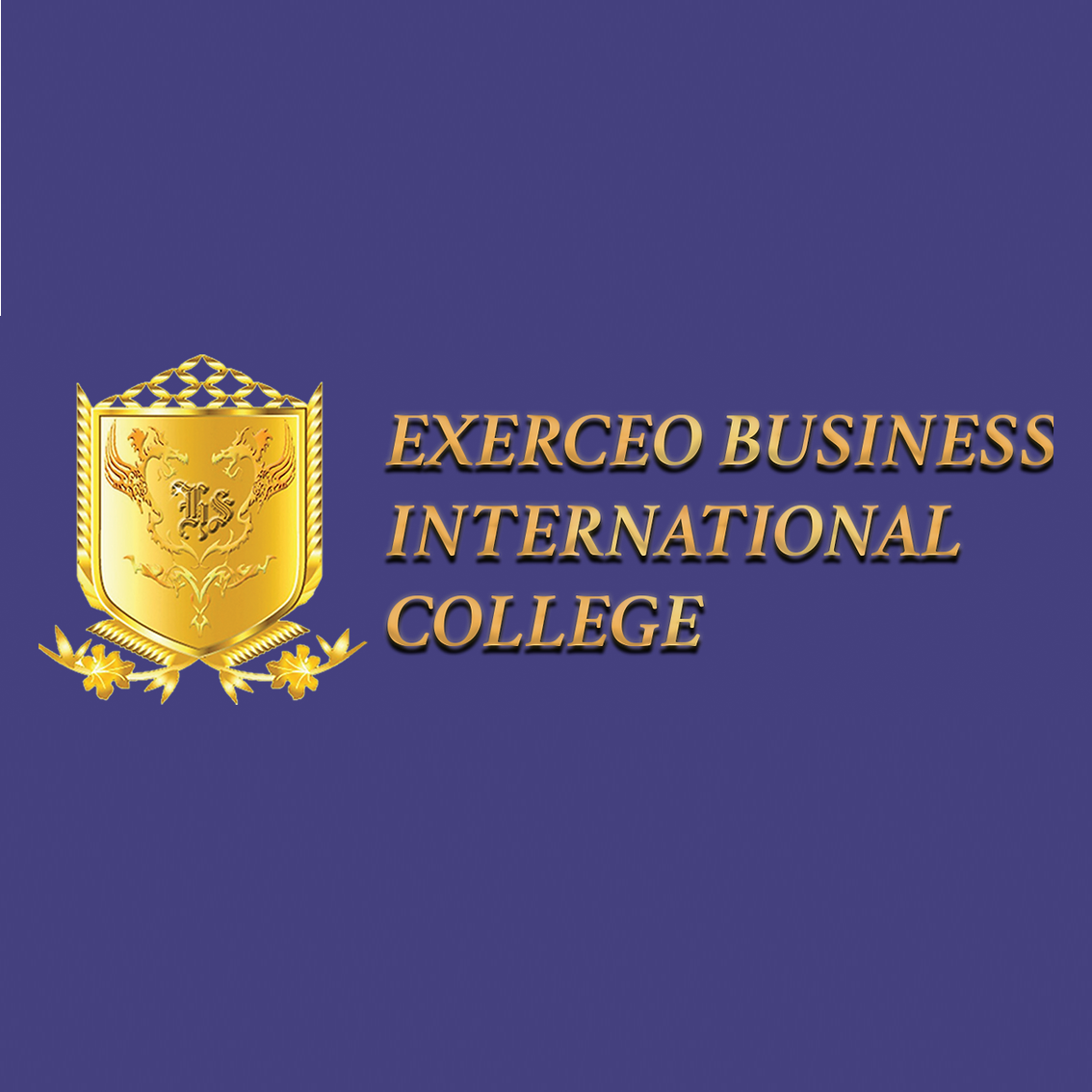 Exerceo Business International College